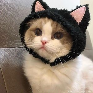 Meet your Posher, Jadynn